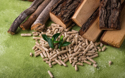Jak wybrać dobrego producenta pelletu i nie przepłacić?